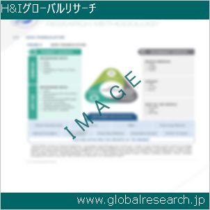 グローバルリサーチ調査レポートのイメージ